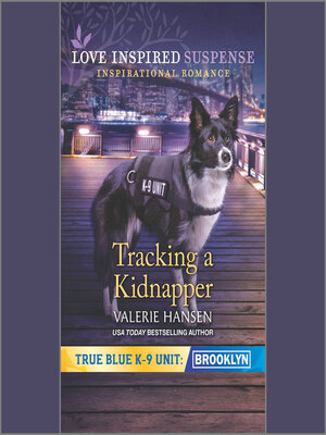 cover image of Tracking a Kidnapper